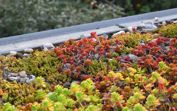 the cost of Pen Y Bryn green roof installation