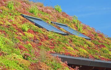 Pen Y Bryn living roof systems
