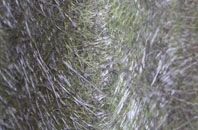 Pen Y Bryn fibreglass roof work